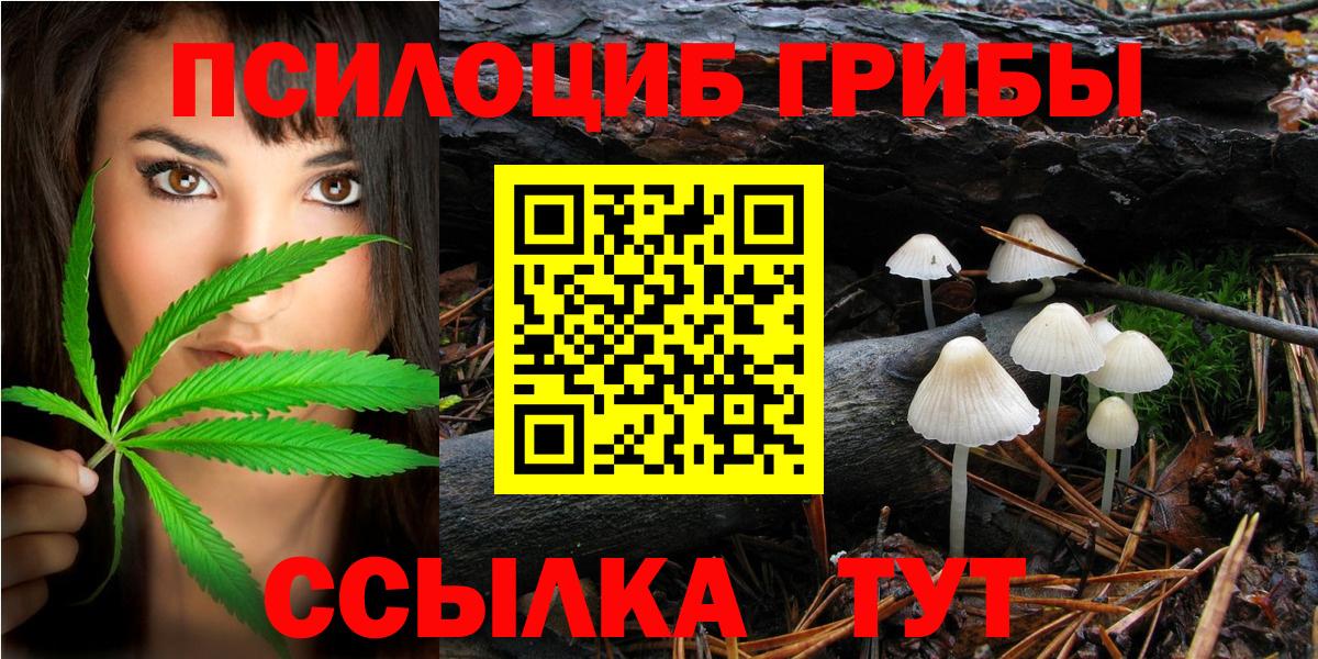 Галлюциногенные грибы Cubensis  Вход с VPN  Псилоцибиновые грибы прущие грибы  Киселёвск 