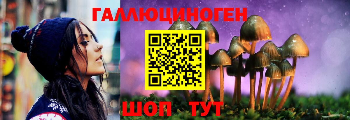 Галлюциногенные грибы MAGIC MUSHROOMS Киселёвск
